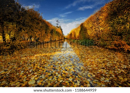 Autumn, colorful Oliwa Park, Gdansk, Poland