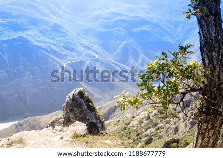 A tree trunk on the mountains background. Selective focus. Blue color toned picture. 
