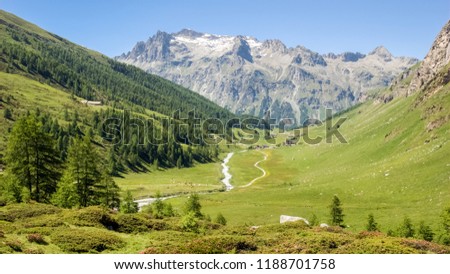 View of the Val Fex (Graubunden, Switzerland) in the summer. It is a southern side valley from the Upper engadin in Switzerland, located at an altitude of around 1,800 to 2,000 metres 