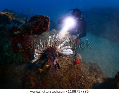 scuba diver underwater with a lion fish and torch light scenery