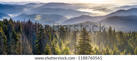 Gorce mountains at the morning Royalty-Free Stock Photo #1188760561
