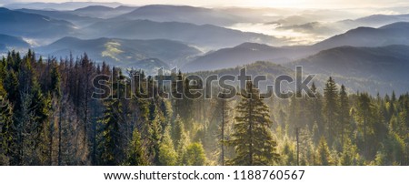 Gorce mountains at the morning Royalty-Free Stock Photo #1188760567