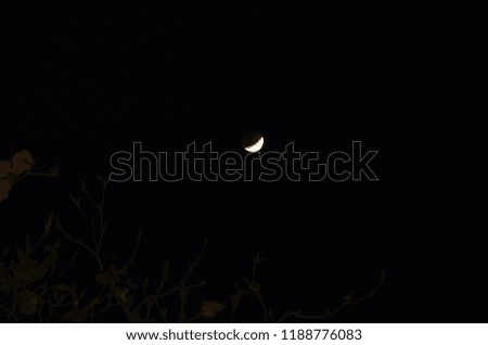 The beautiful lunar eclipse in the dark night with a branch of tree.
Black and white colors of the moon.