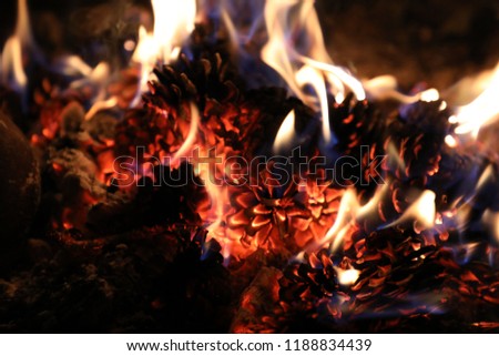 burning pine cones 