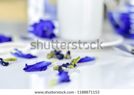 butterfly pea flower, blue tea.