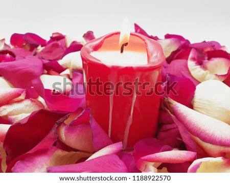 Burning candle surrounded by rose petals