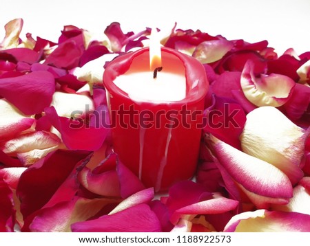 Burning candle surrounded by rose petals