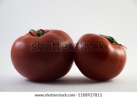 Tomatoes in lightbox