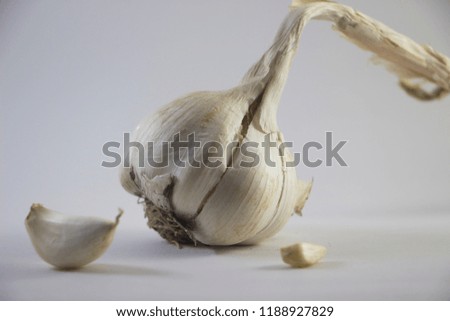 garlic in lightbox