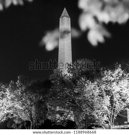 Washington Monument at night in Black and White