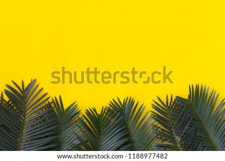 Freshness green leaves of wild palm on yellow paper background and have copy space for your design in your work.