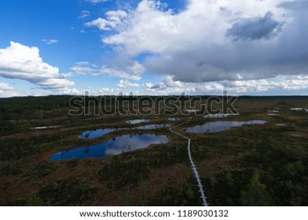Colorful summer holiday park background with green grass under the blue sky and sharp clouds reflecting on the water with copy space