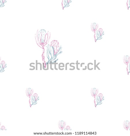 Floral pattern with protea branch. Seamless background for fabric design. Cute and beautiful watercolor vector illustration on white backdrop.