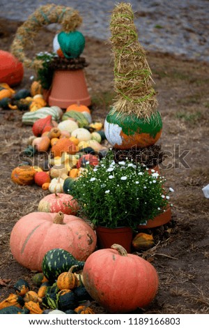 Autumn pumpking decoration