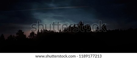 Forest silloulethe silhouette and star falling 