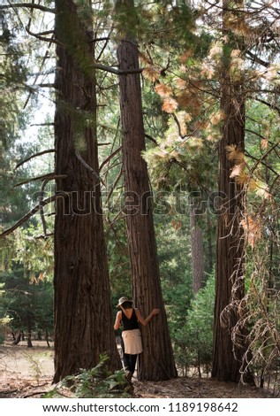 woman walking in the forest 