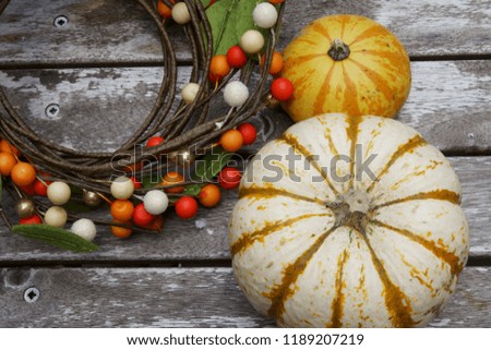 Colored pumpkins for fall background with copy space and a colored fall berries