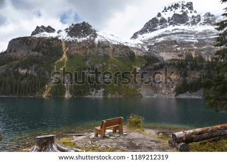 Lake O’Hara Landscape View and Log Bench in Yoho National Park, Canadian Rocky Mountains