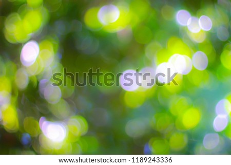 Blur,abstract green light background