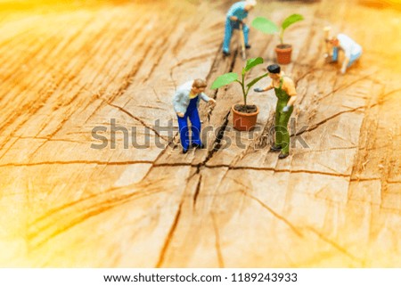 Miniature Greenhouse concept, miniature mini figures with planting tree and protect nature background. Replacement of old trees. Save the world concept.