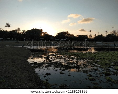 Sunset background on the beach. Exotic summer beach with seaweed. Tropical sea in Bali. The view of beautiful beach for the relax in holiday at Bali, Indonesia. ( Pantai Sanur or Sanur Beach )