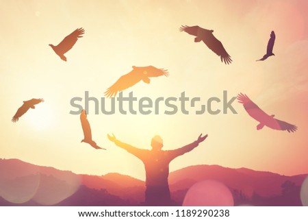 Man raise hand up on top of mountain and sunset sky with eagle birds fly abstract background. Copy space freedom travel adventure and business victory concept. Vintage tone filter effect color style.