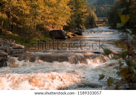 Beautiful mountain river flows down. Nice morning picture in autumn. Bright and colorful scenery.