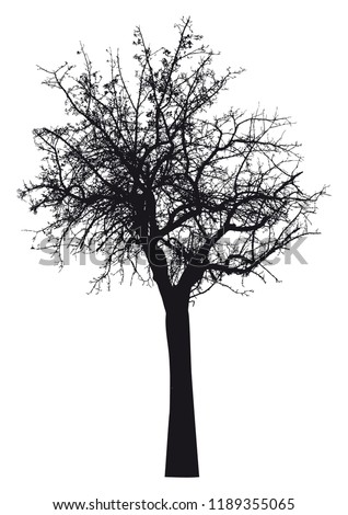 Silhouette of tree, bush with bare branches. Winter scenery treespace for text, isolated vector