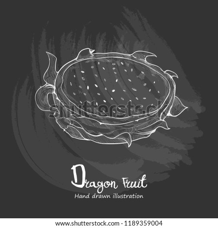 drawing vector of Dragon Fruit chalkboard style.