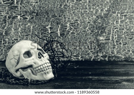 Halloween human skull on an old wooden table