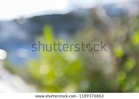 Shiny sunlight natural green bokeh, abstract blur background