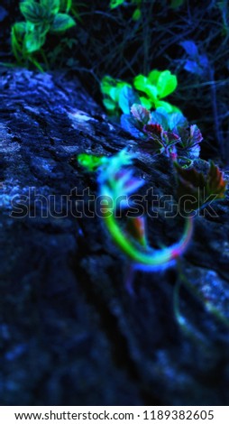 Green nature image in black background blue