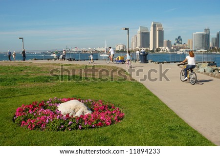 Harbor & park scene; San Diego, California