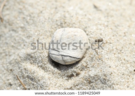 Macro view on sea stone on the beach. Greece holidays.