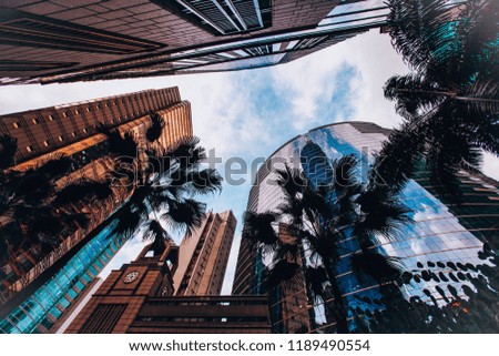 Skyscrapers and palm trees in Hong Kong, leaving in the sky, view from below