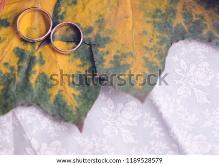 wedding rings on the yellow leaf