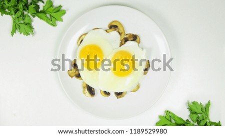 Fried Eggs with Mushrooms on a White Plate on a White Background. Top View