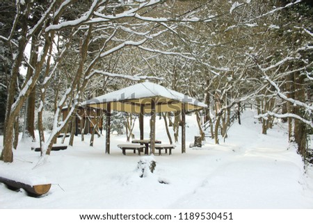 The snow scene in japan country
