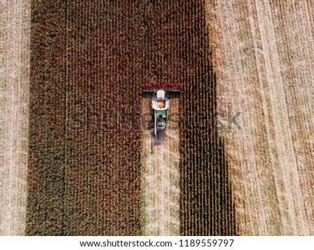 A harvester on a corn field, Poland