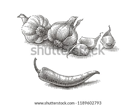 Garlic and chili pepper composition. Spice. Hand drawn engraving style illustrations. Royalty-Free Stock Photo #1189602793