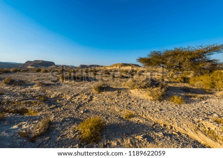 Desolate infinity of the Rocky hills of the Negev Desert in Israel. Breathtaking landscape and nature of the Middle East.