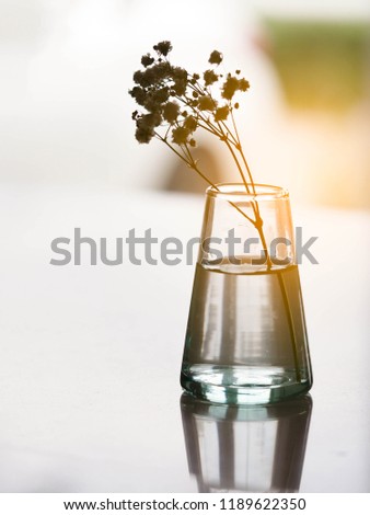 Silhouette flower in the glass vase reflection on glass table at the sunset.  