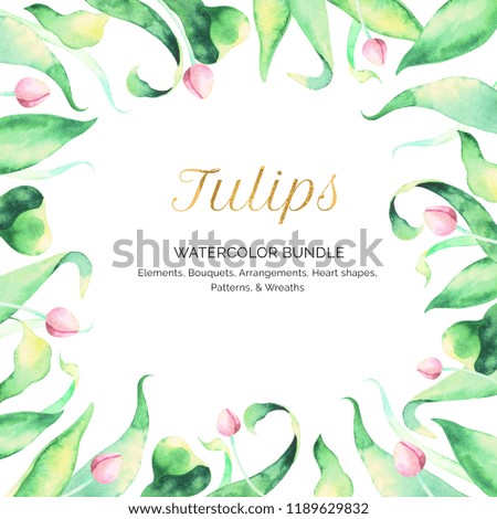 Tulips Watercolor Frame