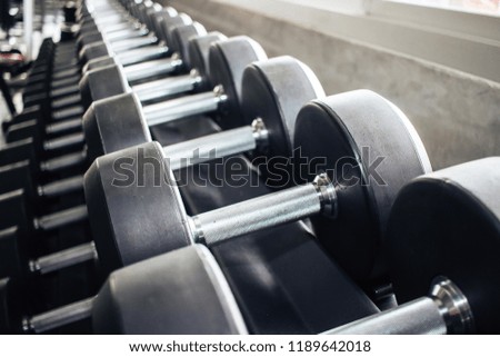Many dumbbell variety of weight was sorted in the gym.