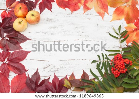leaves, autumn, apples, pumpkin, pepper, Board, background, on white, paper, vegetables