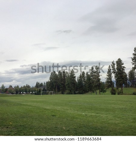 Green grassy sports field in late summer with soccer nets and baseball courts in background. Mountain in distance behind tall pine trees.
