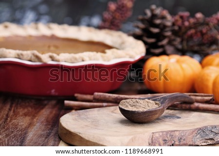 Pumpkin pie spice measured in a wooden spoon over a rustic wooden background. Pie and pumpkins in the background. Extreme shallow depth of field with selective focus on spice.