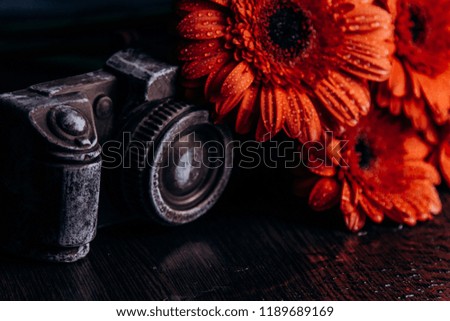 gerbera flowers of bright orange color on a dark background with a metal camera. a figure of chocolate with a bouquet. a drop of water on a brown background. still life