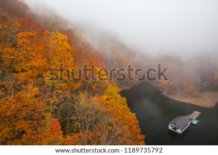 Asia - Beautiful autumn scenery in Janpan, Asia. The fallen leaves beautiful color picture, Maple Red Leaves at Lake Inawashiro Bamdai Azuma SkyLine, Fukushima-ken, Yama District,