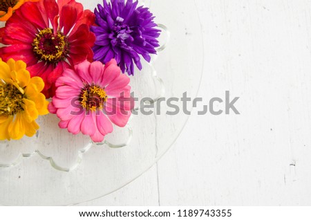 Colored asters on a white wooden table. Flat lay, top view.